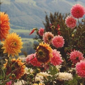 Meet your Posher, Khaliah